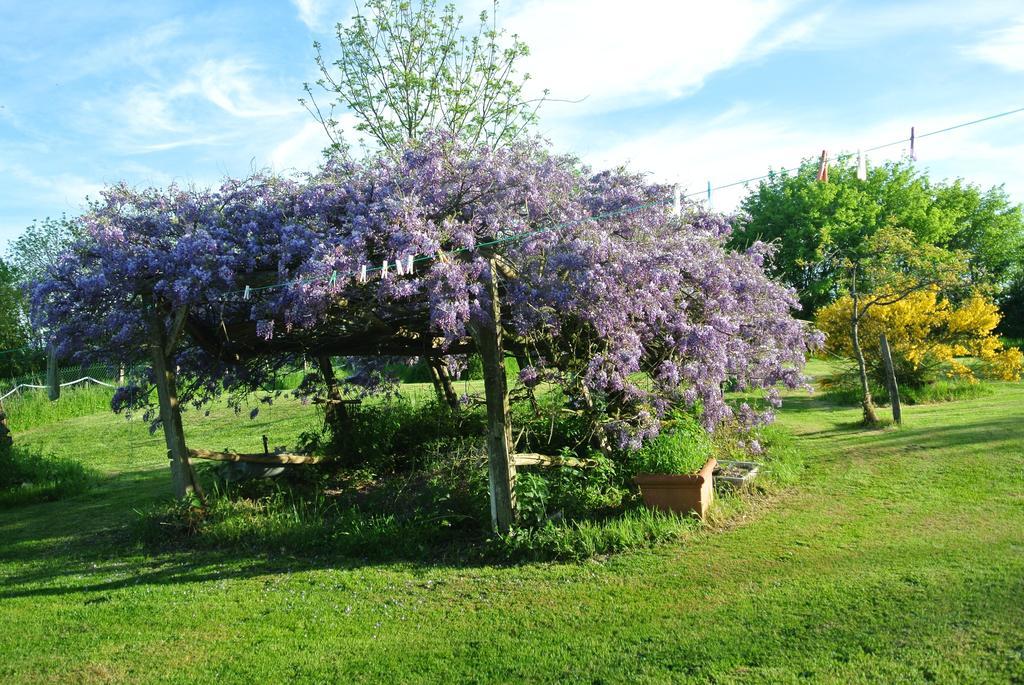 Wisteria House Bed & Breakfast Chanteloup  Екстериор снимка