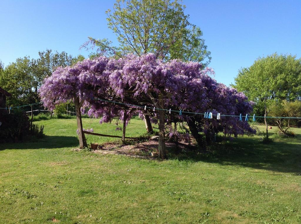 Wisteria House Bed & Breakfast Chanteloup  Екстериор снимка